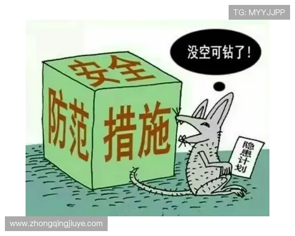 如何确保k8旗舰厅官网快捷登录的安全性：安全措施与风险防范建议