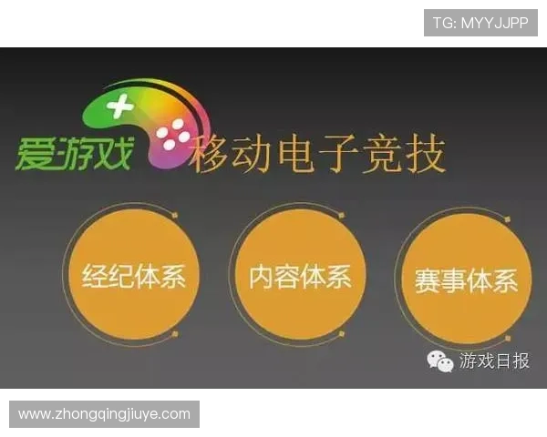 爱游戏体育中国官方网站详解最新体育电竞游戏攻略与玩家交流技巧